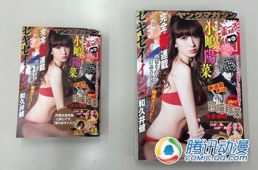 《周刊<em>YOUNG MAGAZINE</em>》首本单行本大小的