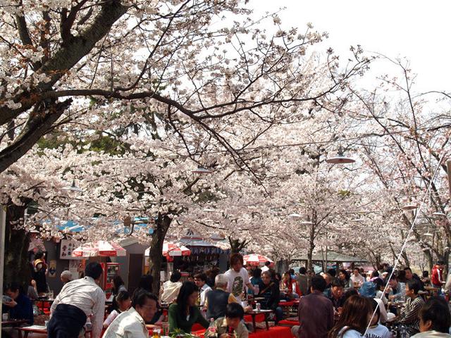 除了圣地巡礼 外国人还想去日本干什么?