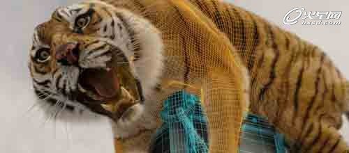 印度成功收购“少年派”特效公司