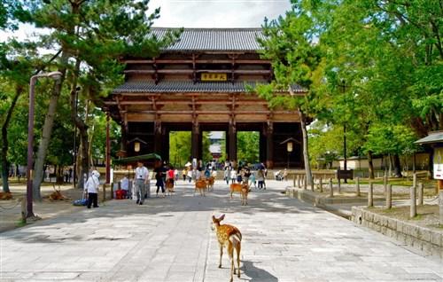 除了圣地巡礼 外国人还想去日本干什么?