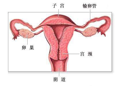 <em>图解女性</em>避孕法_重点推荐(图)_大渝网_腾讯网