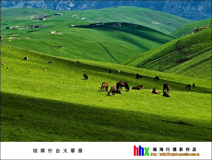 琼库什台大草原