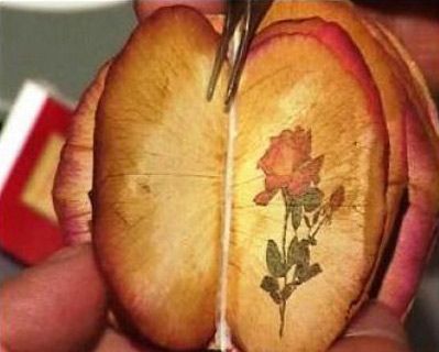 世界上最浪漫的蜜月礼物 花瓣书