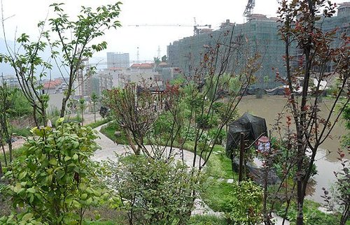 金泉·阳光花园举办业主座谈会_房产家居