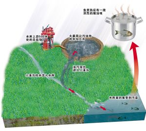 油河镇人口_人口普查