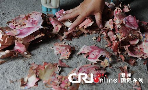 广州白蚁啃碎两万现金 钞票化作废纸(图)