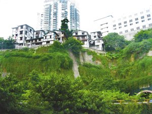 渝中区园林绿化优秀候选项目形象展示(图)