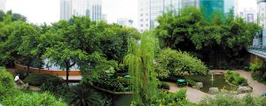 渝中区园林绿化优秀候选项目形象展示(图)