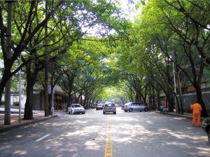 渝中区园林绿化优秀候选项目形象展示(图)