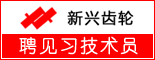 重庆新兴齿轮有限公司_重庆求职