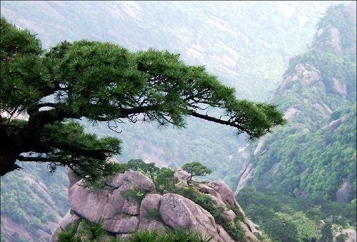 细数美丽 中国最美的地方排行榜