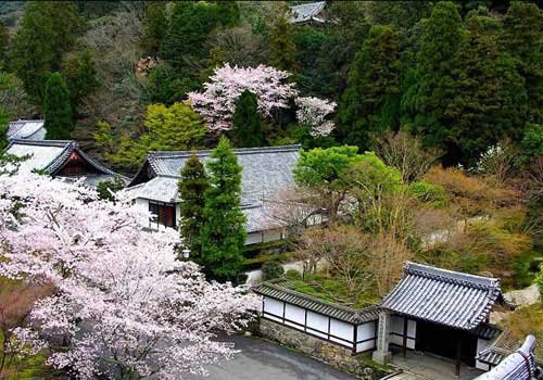 南禅寺追梦:中国最古老的木结构建筑_驴友散记