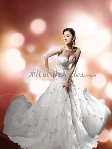 胸大照婚纱图_婚纱礼服图片 打造最美新娘的几大婚纱风格