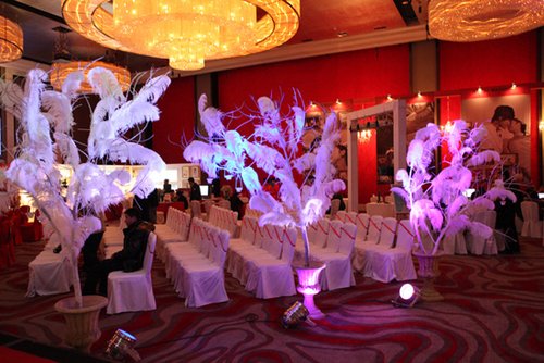 顶级婚纱大牌桂由美豪入萝亚婚礼 - 结婚资讯