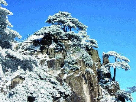 春节国内游 高性价比线路最抢眼
