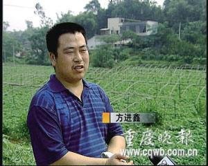 [璧山]行行出状元 卖红苕尖也能成百万富翁_渝