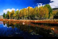 此景可待追忆 去最美的地方拍婚纱照_国内游