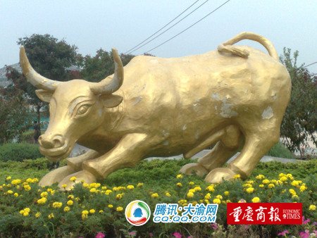 北京路边公牛雕塑很恶俗 重庆网友被雷(图)