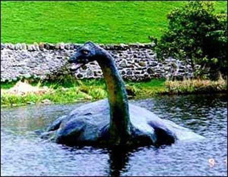 涪陵河滩发现巨型鱼 长1.2米重30斤(图)