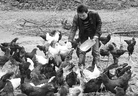 个人创业经历城口村官要创业 学者老总来支招