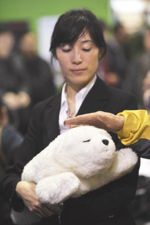 日本武士打醉拳 小海狮陪你聊天_重庆旅游