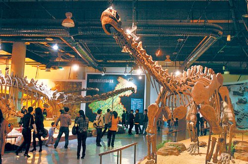 到科技馆赏恐龙 还可自挖三叶虫_重庆旅游资讯