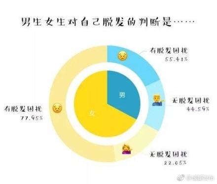 川大学生随机调查:七成以上陷脱发困扰