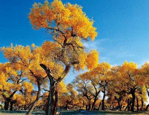 追逐青藏线:自由放飞找寻心灵的孤岛