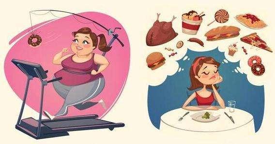 节食减肥？素食清肠？护胃误区一一击破