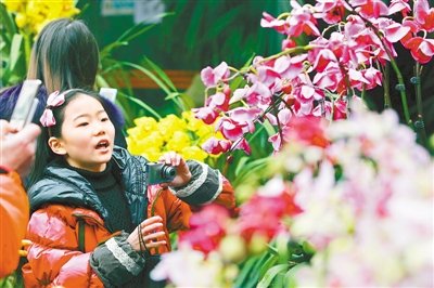 �ͻ���԰æ���&nbsp;���񻶻�ϲϲ������