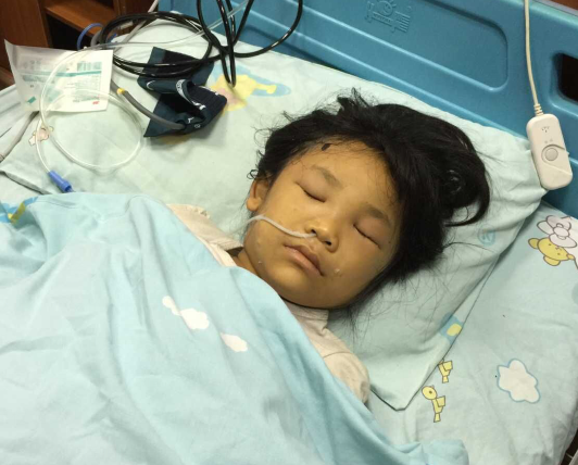 放学路上被马蜂围攻 重庆7岁半女童病危