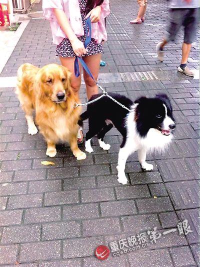 ���Âz�������T��˨��� �ϴ󠔽o����һ�D�N