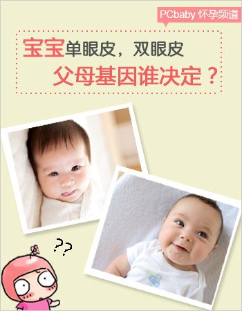 谁的基因 决定宝宝单双眼皮?