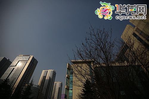 明后日山城继续唱晴歌 专家:今年暖冬基本成