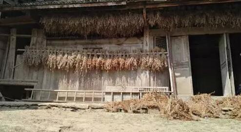 酉阳大山深处的神秘码头 原滋味的古村落
