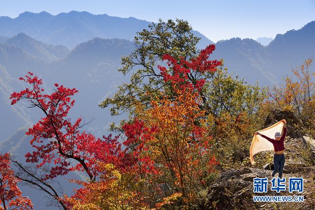 深秋去哪？来城口赴一场彩叶之约