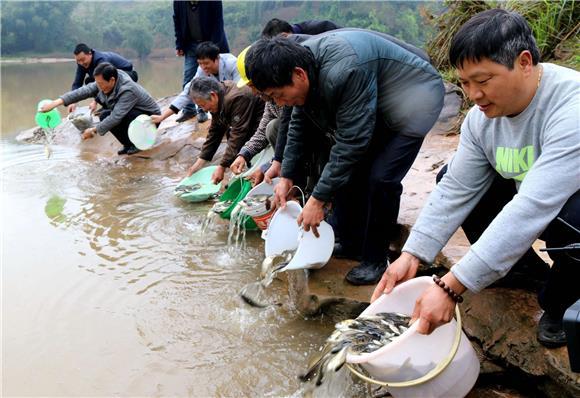 付道运 通讯员 侯祥)连日来,重庆市江津蔡家镇在笋溪河白塘口,石膏滩