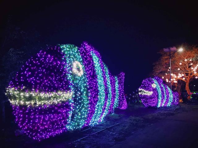 晚上去主城看灯光秀:夜游凤凰花海大型光影秀_大渝网_腾讯网