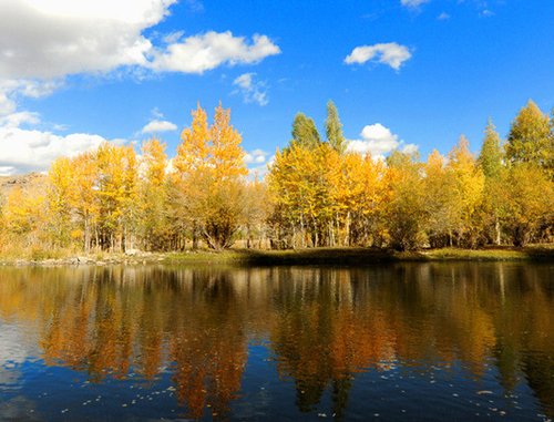 新疆 Xinjiang Uygur Autonomous Region