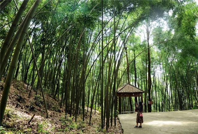 梁平百里竹海旅游度假区5月亮相试运营
