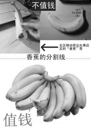 微博传便宜芭蕉冒充香蕉卖 吃了会便秘？