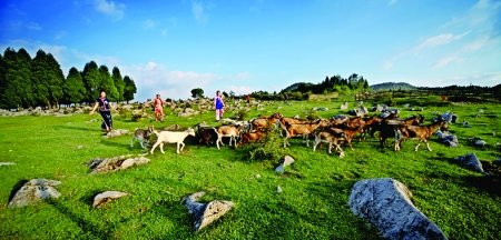 风情土家五彩石柱 四大优势助推石柱旅游_渝东