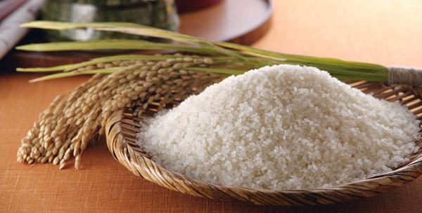 五常大米重拳严打仍难禁掺假 米业称可用配米