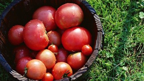 ����5�ֲ�������4��ʳ����������!