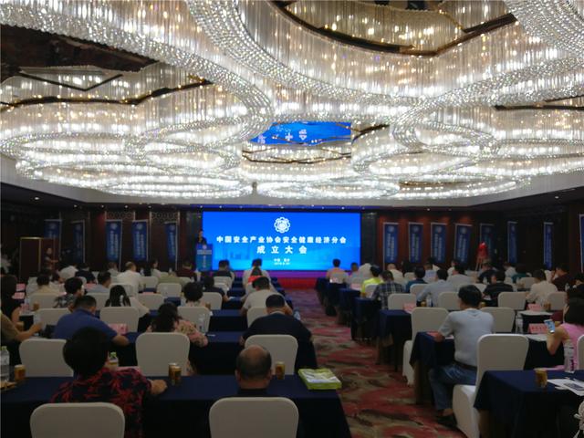 中国安全产业协会安全健康经济分会今日举行成立大会