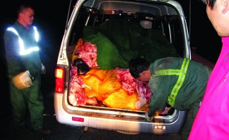 长安车深夜高速路爆胎 货厢在滴血(图)_社会新