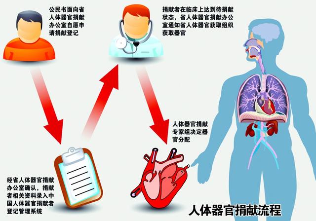 中国是第几人口大国_中国是世界第一人口大国-战争响起,中国可以动员多少军(3)