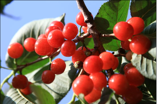 坐着火车游昭通 原始美景尽收眼底