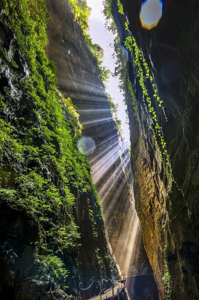 涪陵武陵山大裂谷八月传“奇音” 众多人气明星助阵今夏避暑季