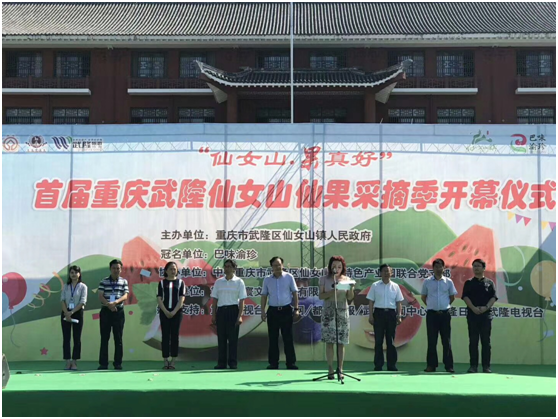 武隆区各镇GDP_武隆区凤来新城规划图